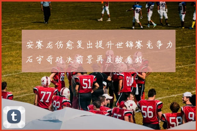 安赛龙伤愈复出提升世锦赛竞争力石宇奇对决前景再度被看好